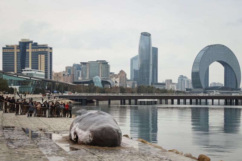 © Reuters. A beached whale installation by the Belgian art collective